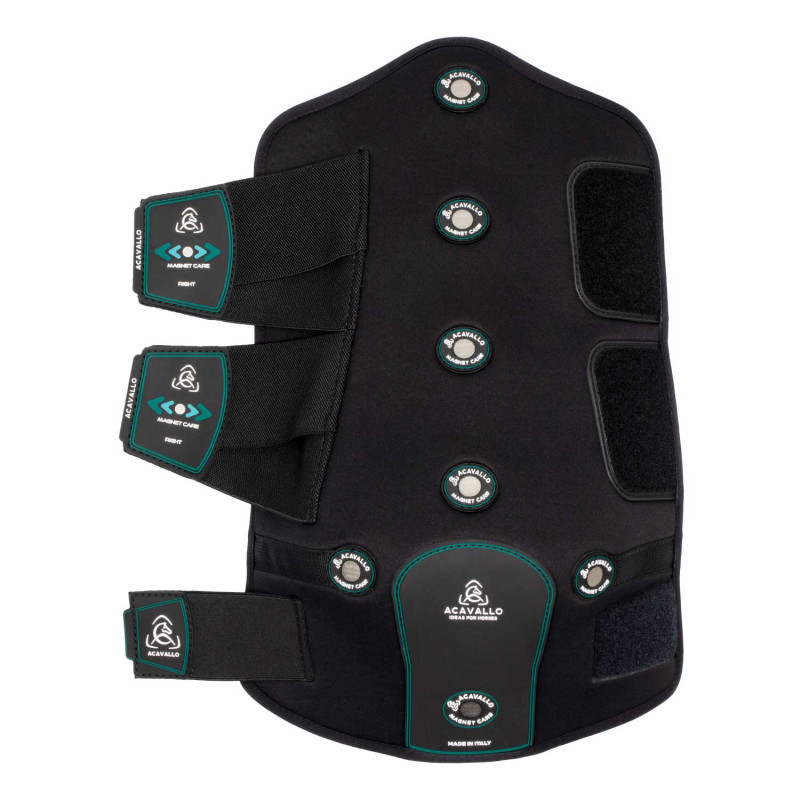Magnet Care hind boots BK 7