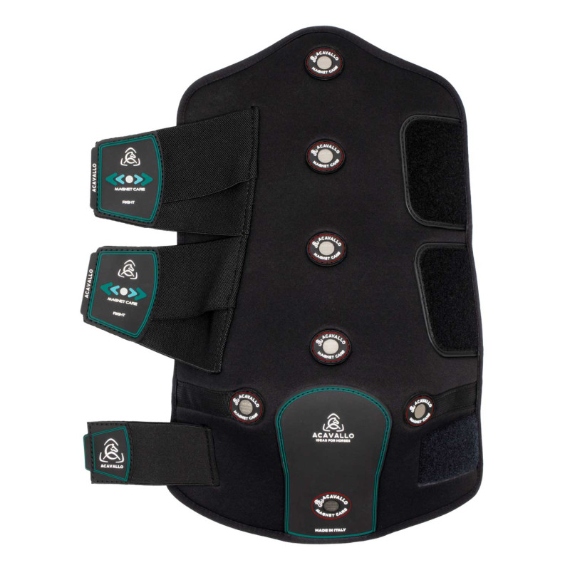 Magnet Care hind boots BK/RED 7
