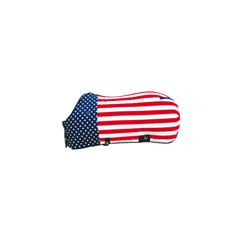 USA STARS WESTERN STABLE RUG 300g