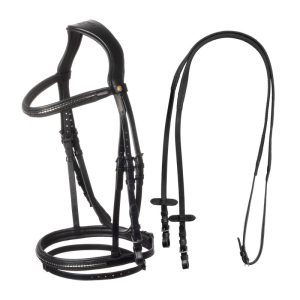 Leather bridle with black clincher