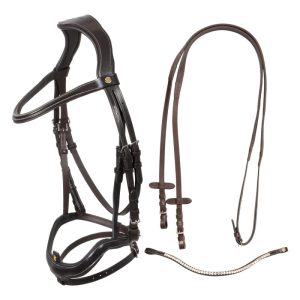 Anatomical bridle with curved noseband