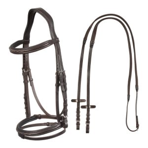 Raised bridle with decorative embroidery